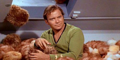 Ingredients Needed to Manage Network Tribbles
